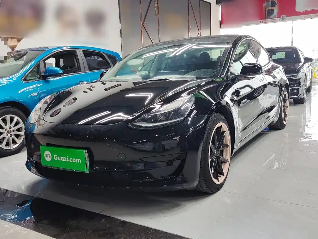 Tesla Model 3 2021 Standard Range Rear-Wheel Drive Upgrade 3D6