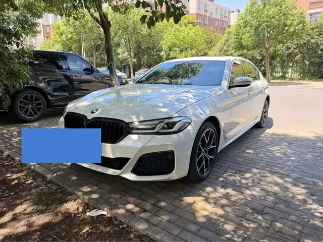 BMW 5 Series 2021 530Li Premium M Sport Package