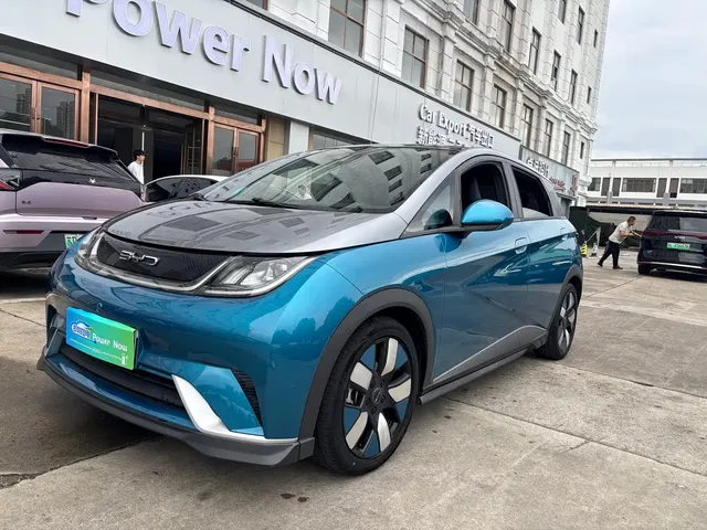 BYD Dolphin 2021 401km Knight Edition