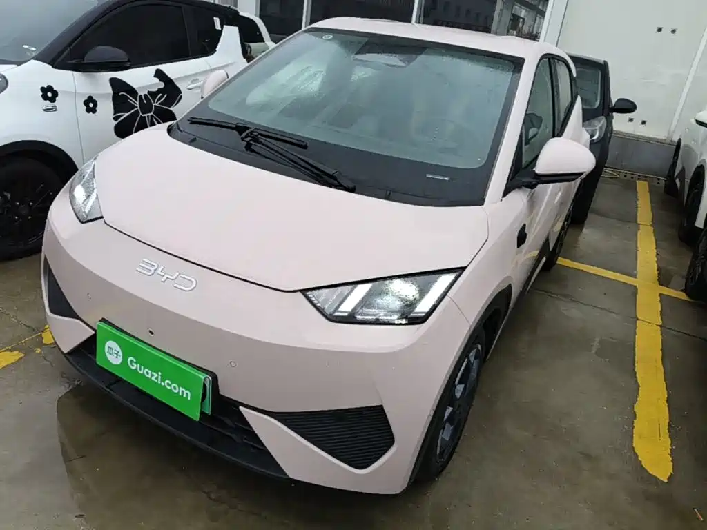 BYD Seagull 2025 Smart Drive Edition 305km Freedom Version