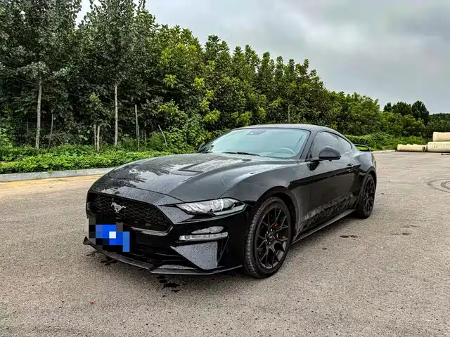 Ford Mustang 2019 2.3L EcoBoost