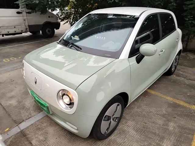 Ora Black Cat 2022 Facelift 301km Pet Edition LFP Version