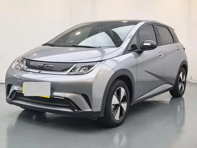 BYD Dolphin 2024 Glory Edition 420km Fashion Edition