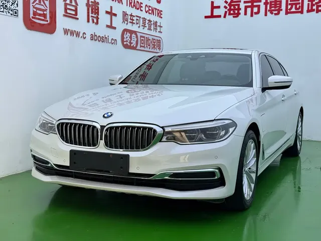 BMW 5 Series New Energy 2020 530Le Range Upgrade Luxury Package