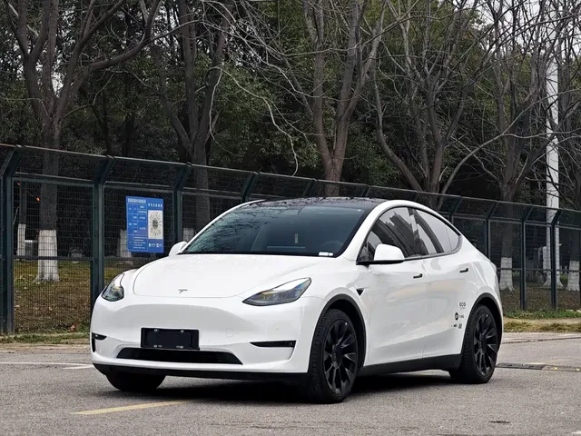 Tesla Model Y 2021 Standard Range Rear-Wheel Drive