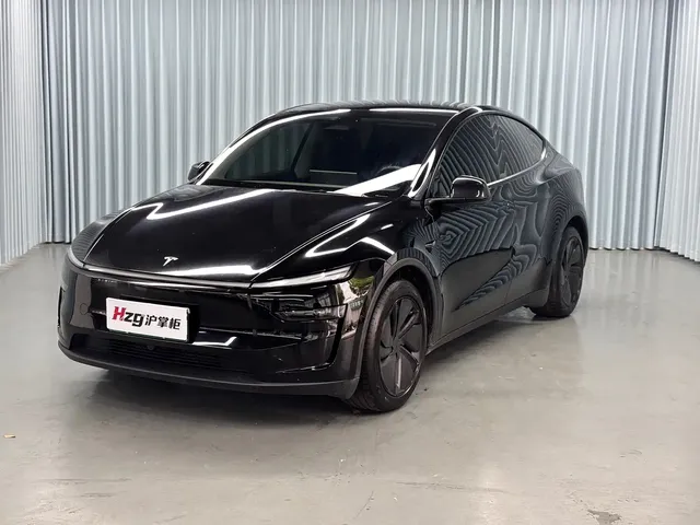 Tesla Model Y 2025 Rear-Wheel Drive