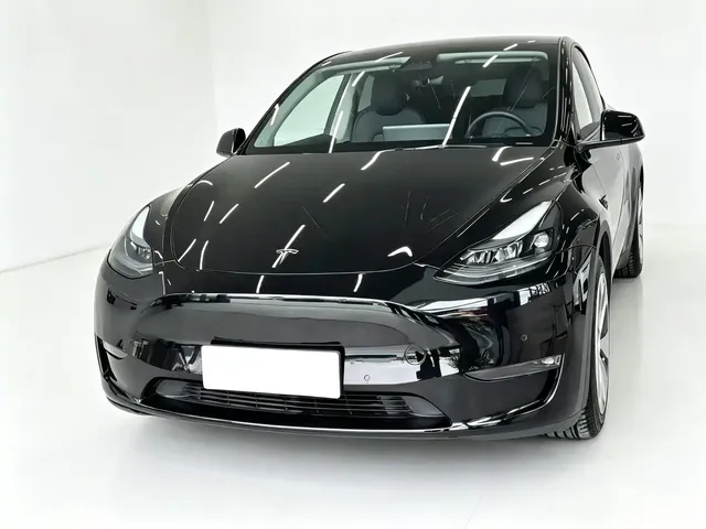 Tesla Model Y 2021 Standard Range Rear-Wheel Drive