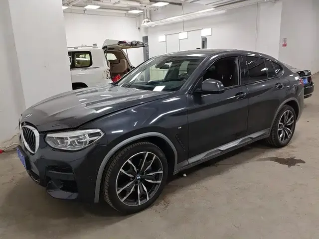 BMW X4 2020 xDrive30i M Off-road Package