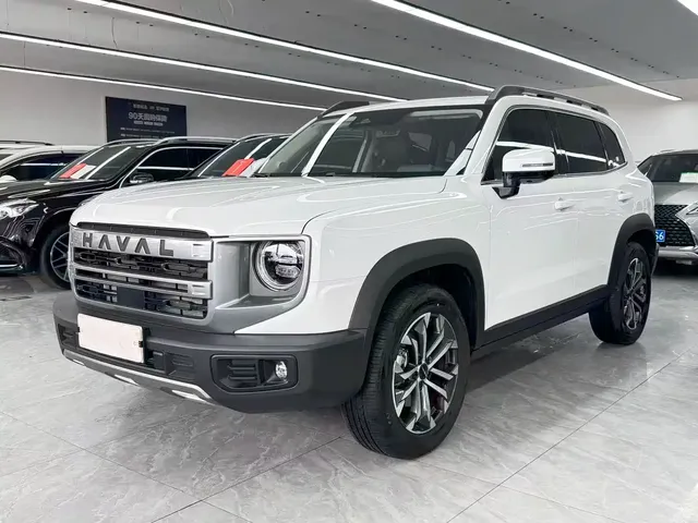 Haval Big Dog 2024 1.5T DCT Border Collie Edition