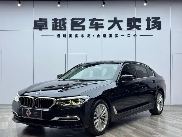 BMW 5 Series New Energy 2019 530Le Luxury Package