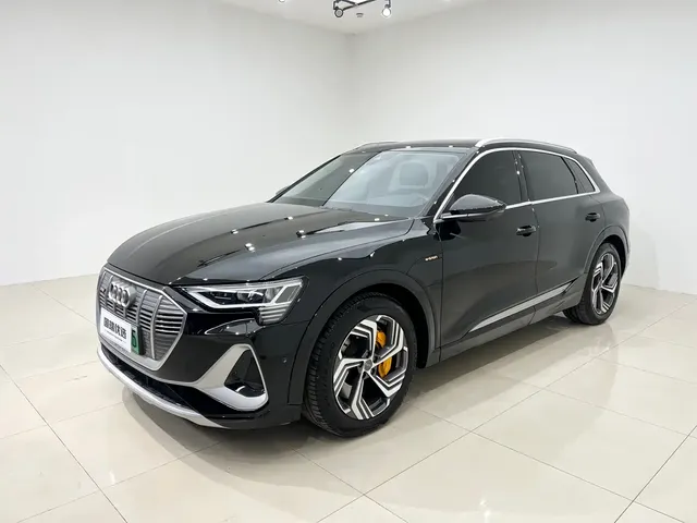 Audi e-tron 2021 50 quattro Exclusive Selection