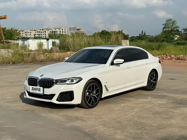 BMW 5 Series 2021 530Li Premium M Sport Package