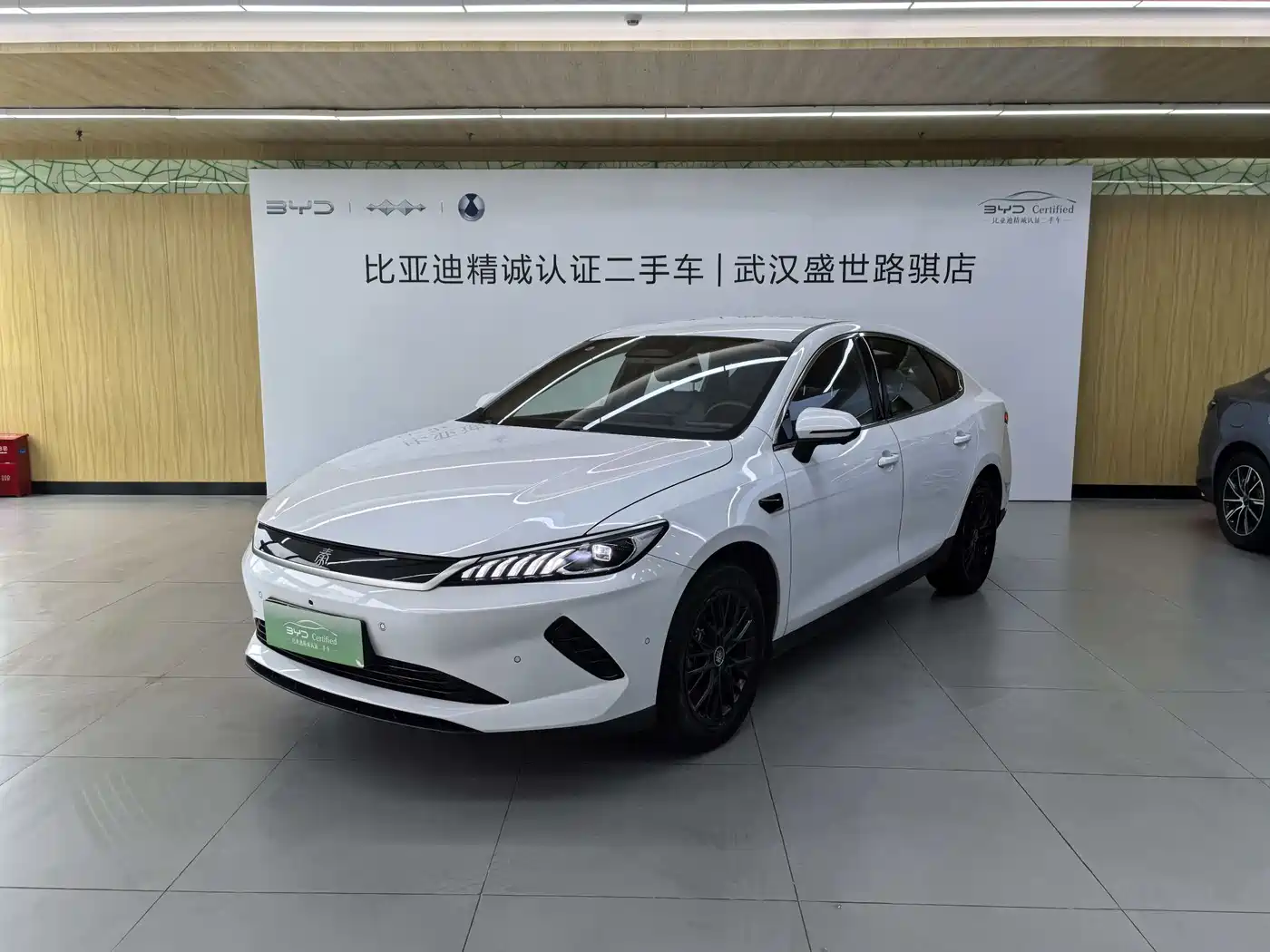 BYD Qin PLUS 2025 EV Smart Drive Edition 510KM Leading Type