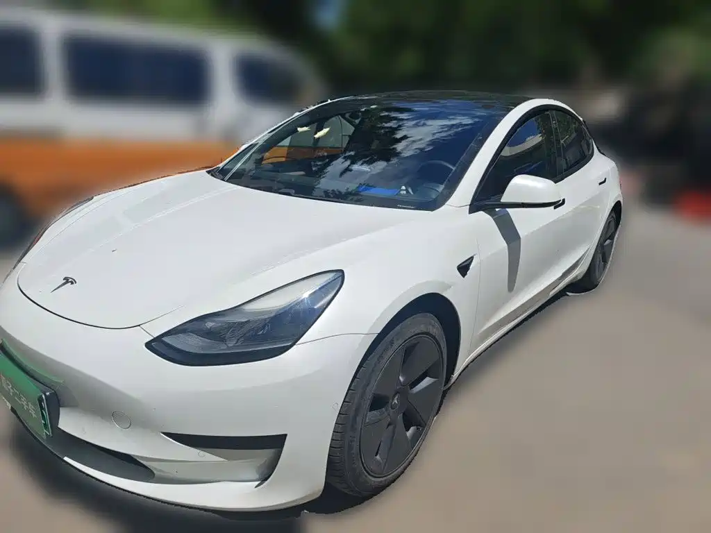 Tesla Model 3 2021 Facelift Standard Range RWD Upgrade 3D1