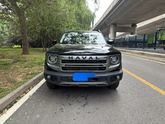 Haval Big Dog 2024 1.5T DCT Border Collie Edition