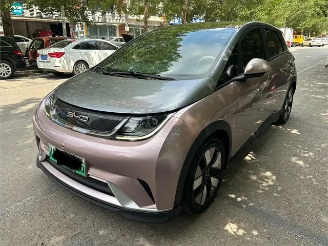 BYD Dolphin 2021 401km Knight Edition