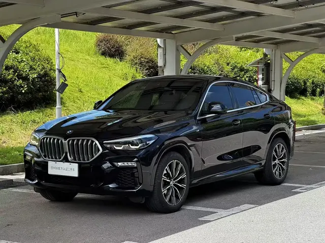 BMW X6 2020 xDrive30i M Sport Package