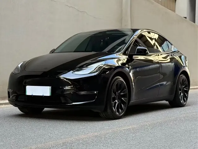 Tesla Model Y 2021 Standard Range Rear-Wheel Drive