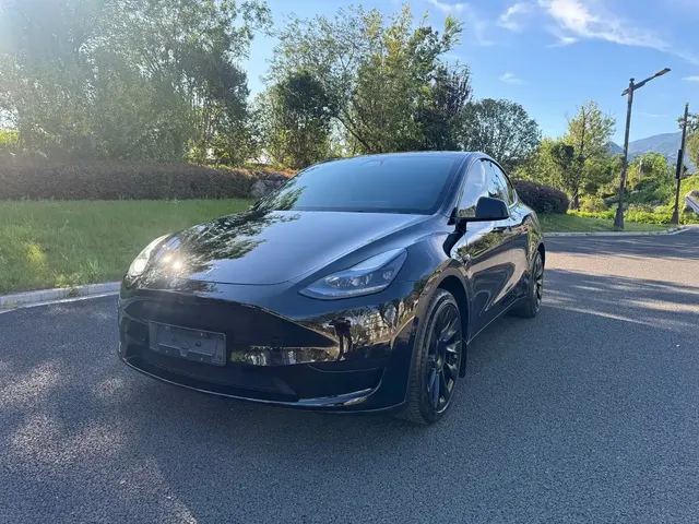 Tesla Model Y 2022 Rear-Wheel Drive Version