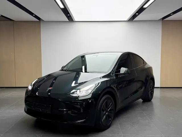Tesla Model Y 2023 Rear-Wheel Drive Edition