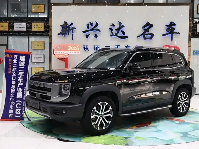 Haval Big Dog 2024 1.5T DCT Border Collie Edition
