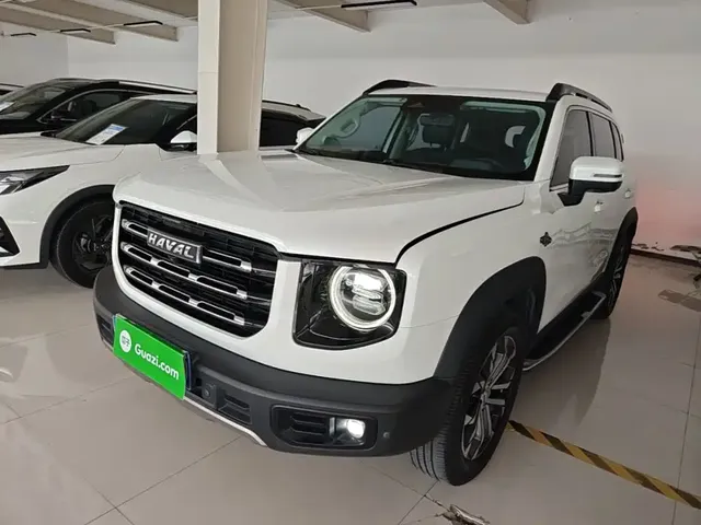 Haval Big Dog 2021 1.5T DCT 2WD Border Collie - Wangcai Edition