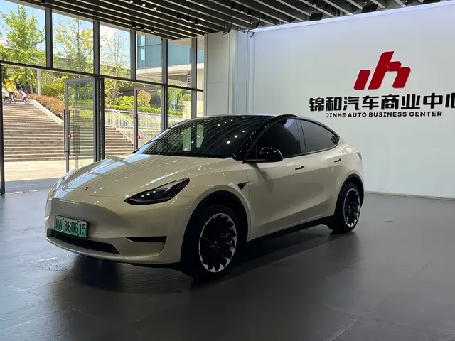 Tesla Model Y 2023 Rear-Wheel Drive Edition