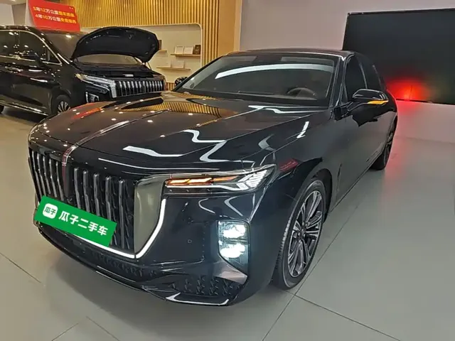 Hongqi H9 2024 2.0T Qi Enjoy Private Fashion Edition