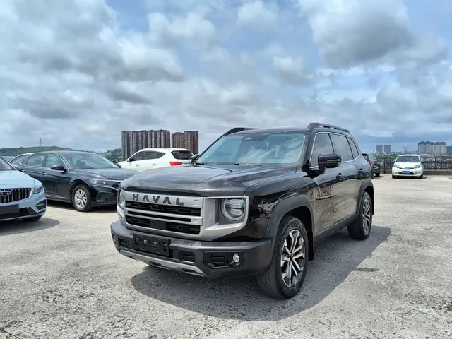Haval Big Dog 2024 1.5T DCT Border Collie Edition