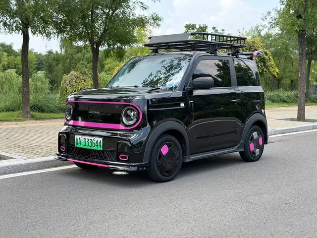 Geely Galaxy Panda 2025 Model Year 210km Panda Kart