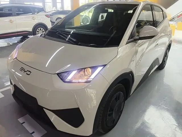 BYD Seagull 2025 Smart Drive Edition 305km Vitality Version