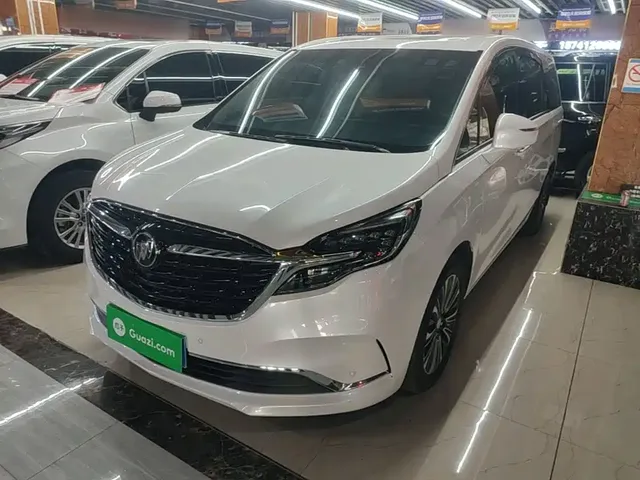 Buick GL8 2022 ES Landmark 653T Luxury