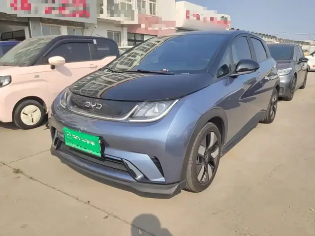 BYD Dolphin 2025 520km Knight Edition