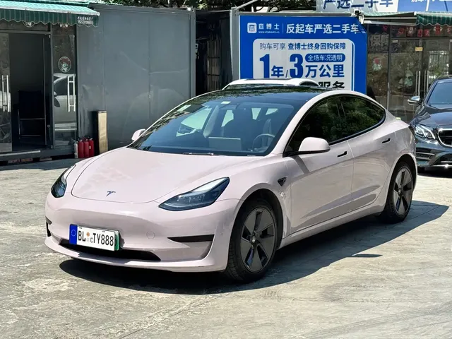 Tesla Model 3 2021 Standard Range Rear-Wheel Drive Upgrade 3D6