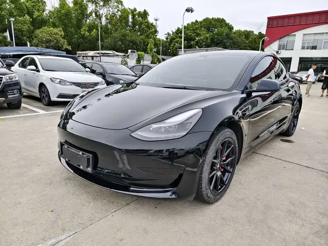 Tesla Model 3 2022 Model Rear-Wheel Drive Version