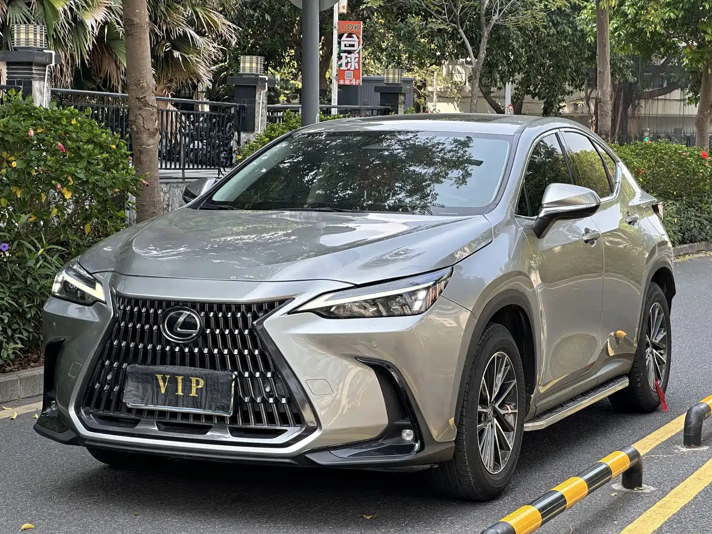 Lexus NX 2023 260 FWD Joy Creation Edition