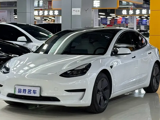 Tesla Model 3 2021 Standard Range Rear-Wheel Drive Upgrade 3D6