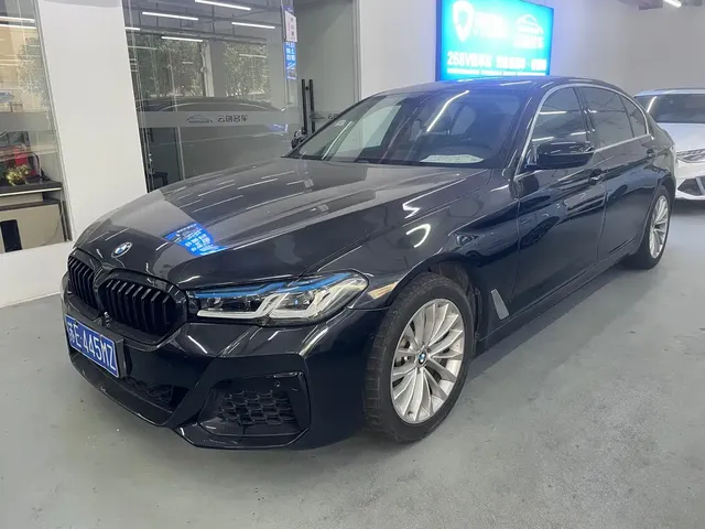 BMW 5 Series 2019 530Li Leading Luxury Package