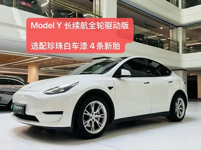 Tesla Model Y 2021 Long Range All-Wheel Drive 3D7