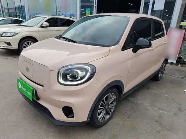 Leapmotor T03 2021 400 Micro Sugar Edition