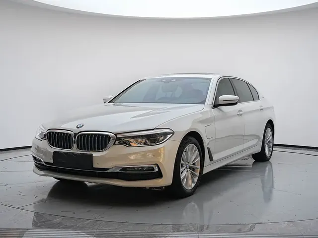 BMW 5 Series New Energy 2019 530Le Luxury Package