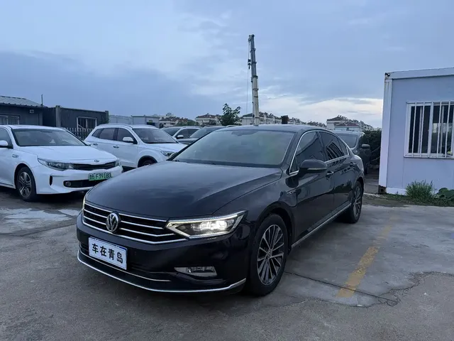 Volkswagen Magotan 2020 330TSI DSG Luxury