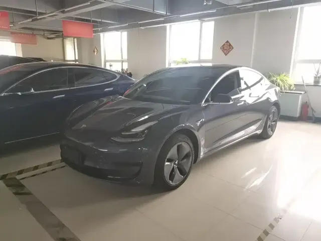 Tesla Model 3 2020 Standard Range Rear-Wheel Drive Upgrade