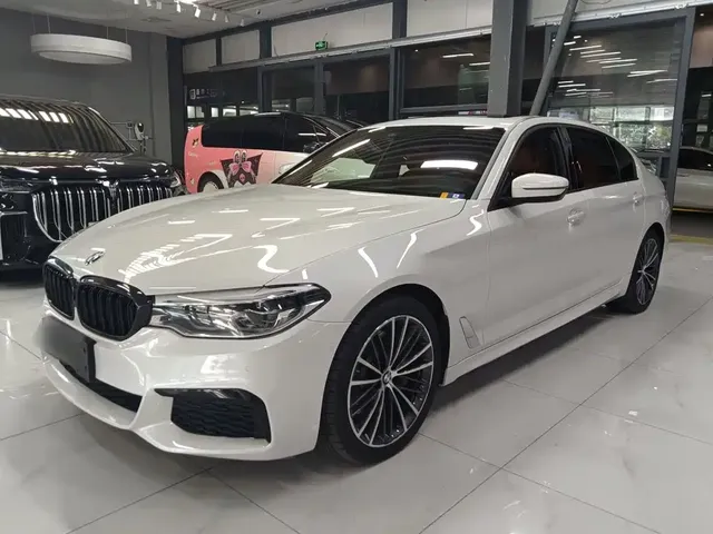 BMW 5 Series 2020 530Li Leading M Sport Package