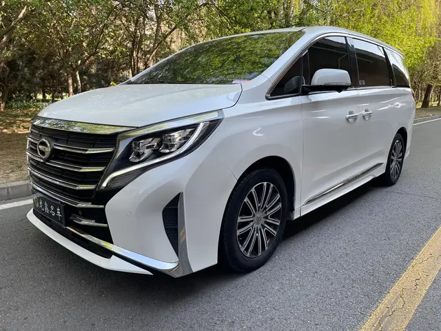 GAC Trumpchi M8 2021 Leading Show Series 390T Ultimate Edition