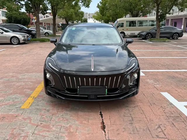 Hongqi E-QM5 2021 Charging Flag Premium Edition