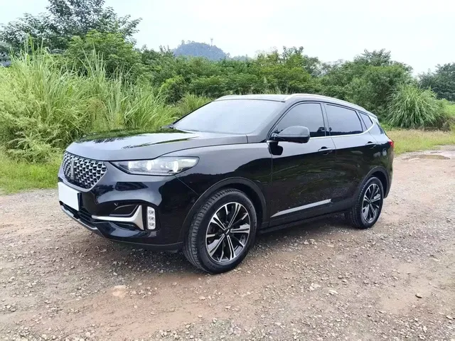 WEY VV6 2021 2.0T 2WD Smart Protection+