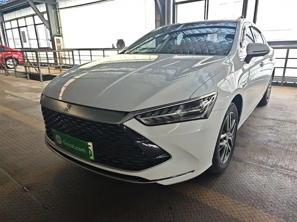BYD Qin PLUS 2023 Champion Edition DM-i 120KM Surpassing Type