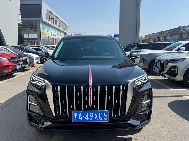 Hongqi HS5 2023 2.0T Flag Pro 500,000 Units Commemorative Edition