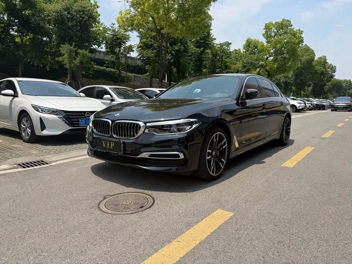 BMW 5 Series New Energy 2020 530Le Range Upgrade Pioneer Edition